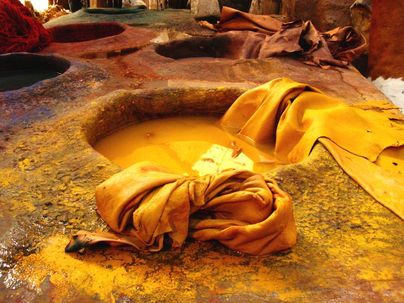 Scientists create plastic-free vegan leather that dyes itself, grown from bacteria