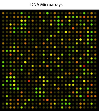 Researchers engineer in vivo delivery system for prime editing, partially restoring vision in mice