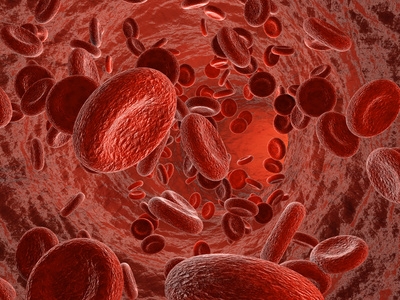 Silicon exoskeletons for blood cells: Engineered blood cells successfully transfused between species