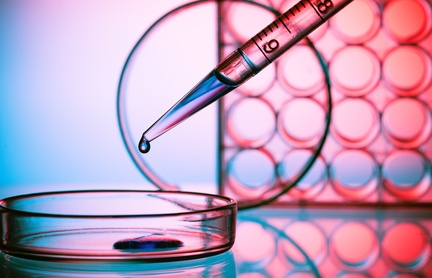In a breakthrough, diabetics damaged cells regenerated to produce insulin