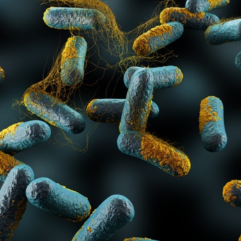 Coaxing purple bacteria into becoming bioplastic factories